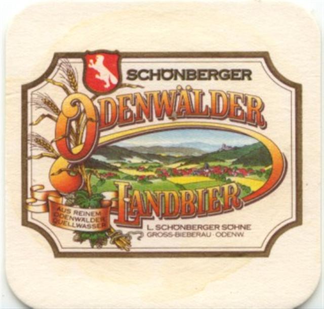groß-bieberau da-he schönberger quad 4a (180-odenwälder) 
